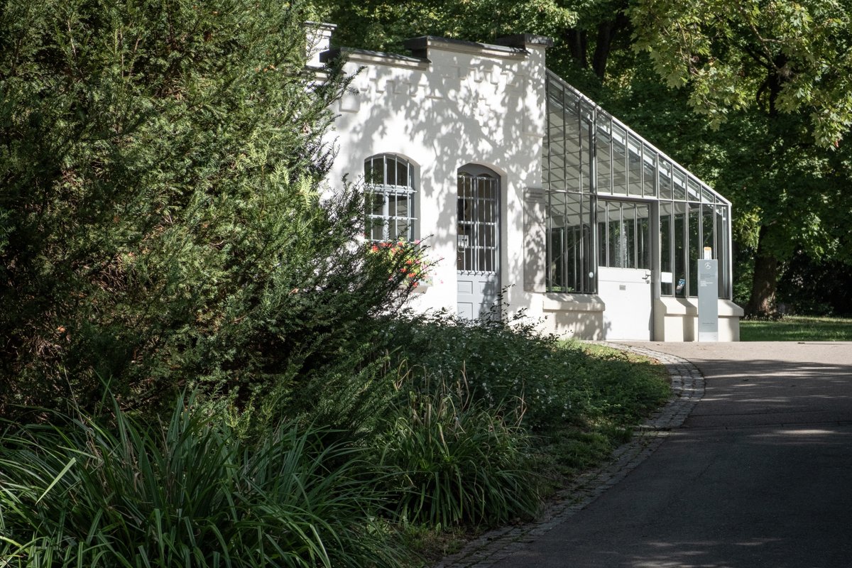 Daimler's Garden house with wide path leading up to it past trees. Half workshop. Half Greenhouse.
