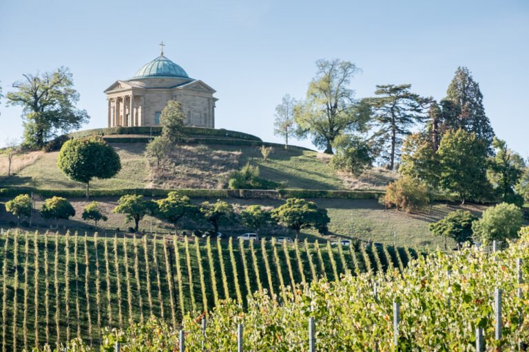 Stuttgart Wine Country: An Easy Vineyard Walk from Rotenberg to Uhlbach