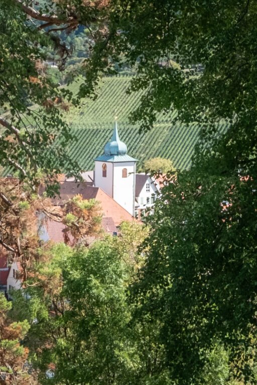 Rotenberg's onion-domed church steeple is revealed through trees, with vineyards beyond.