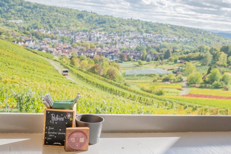 View from the Rotenberger Weingärtle overlooking vineyards and Uhlbach below.