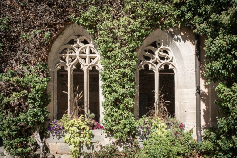 Detail view of elaborate carved windows at Bebenhausen monastery. Vines and plants cover the exterior of the wall.